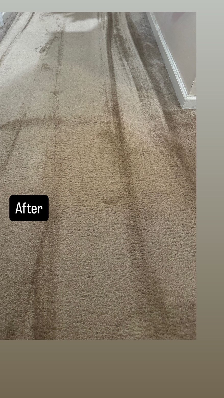 After Hallway Carpet Restoration